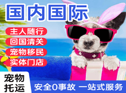 厦门航空托运国际宠物托运 【国